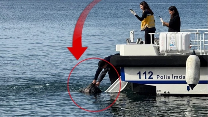 Yürüyüşe çıkanlar gördü! Erdek'te denizde erkek cesedi bulundu